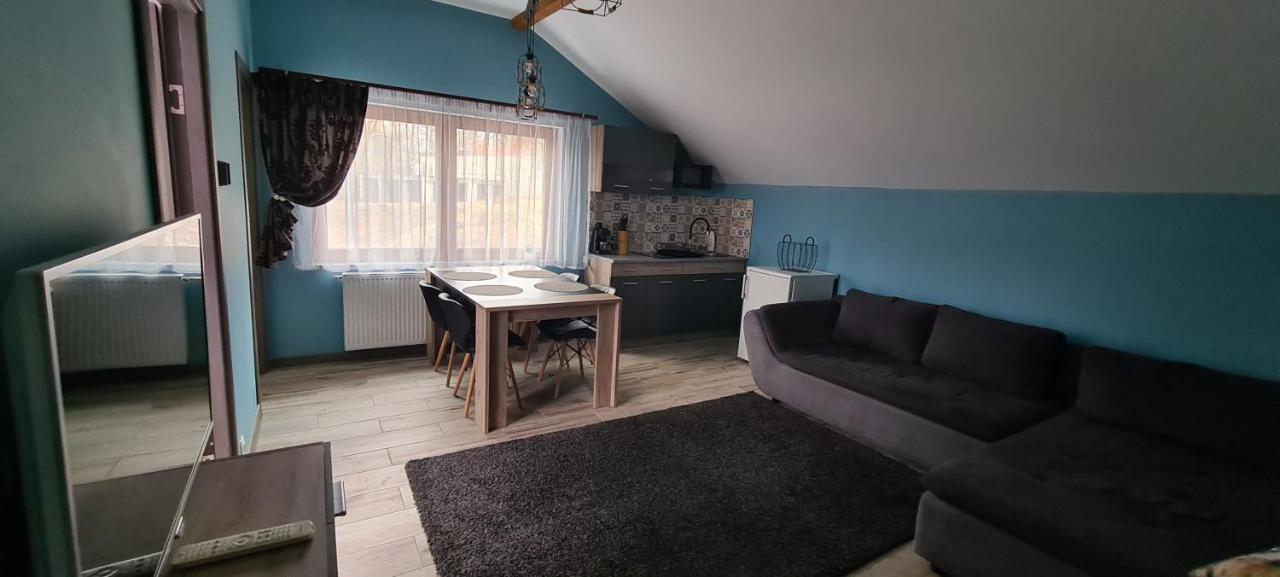 Petroşani Comfort Home Apartment 3 מראה חיצוני תמונה