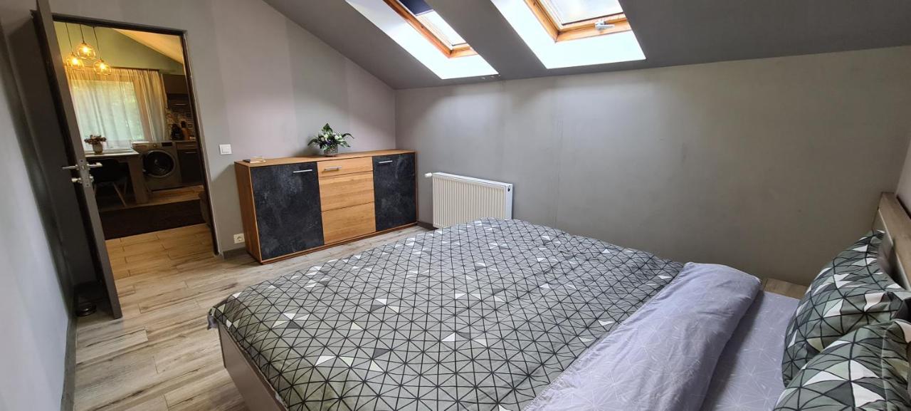 Petroşani Comfort Home Apartment 3 מראה חיצוני תמונה